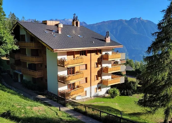 Chaleureux A Ovronnaz